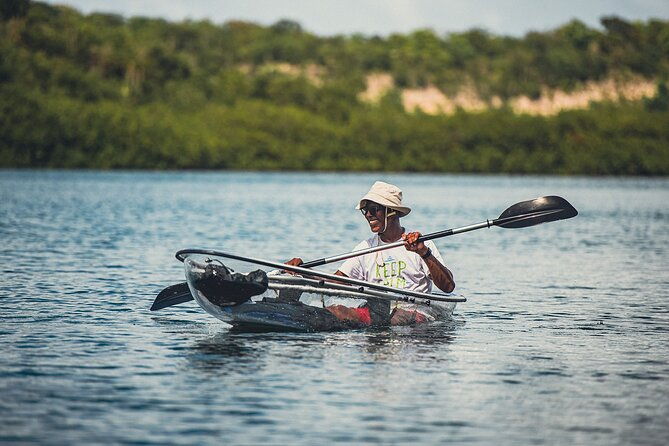 kayak-eco-adventures-glass-kayak-nature-and-snorkeling-tour