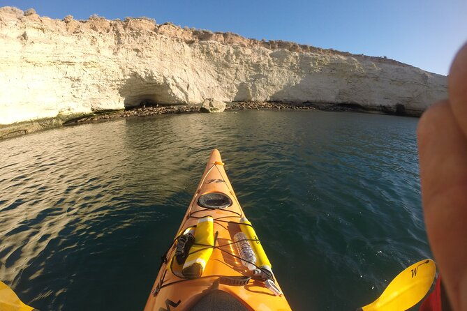 kayak-paddling-experience-with-sea-lions-in-puerto-madryn