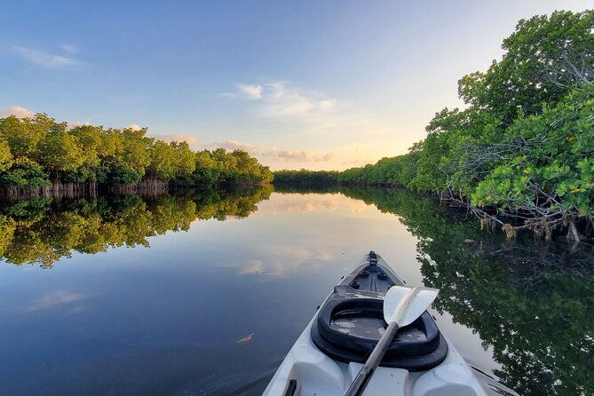 kayak-through-mangrove-forests-in-the-florida-keys