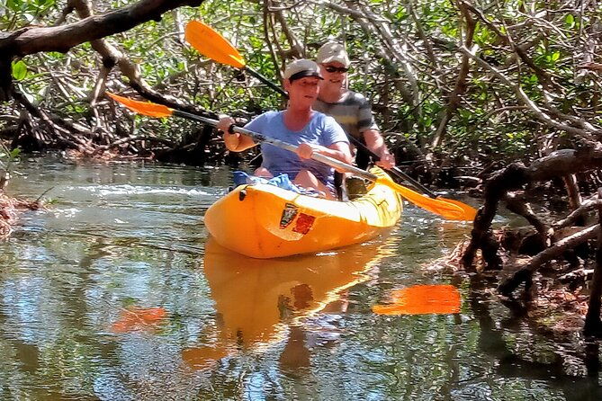kayak-trip-1-wet-hike-2-dry-hikes-in-everglades-national-park