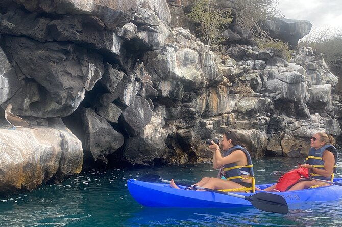 kayaking-experience-in-franklin-bay