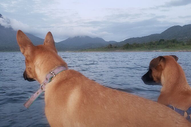 kayaking-on-the-lake-arenal-personalized-experience