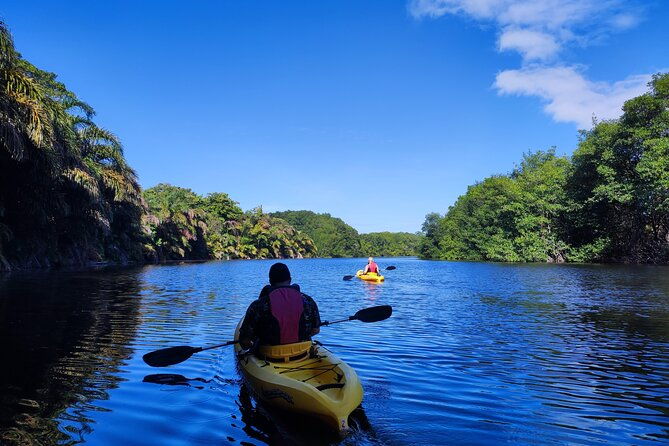 kayaking-tour-in-gandoca-lagoon-throug-mangrove-forest