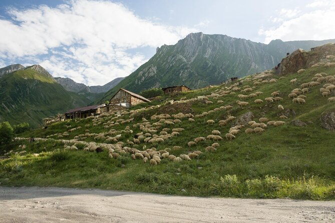kazbegi-one-day-private-trekking-tour-to-truso-valley