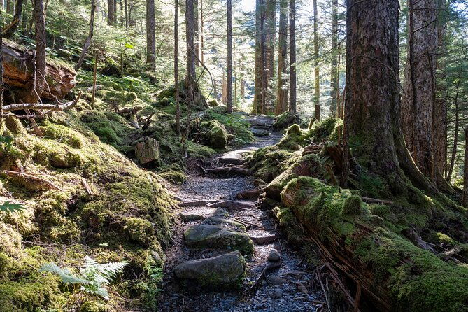 ketchikan-mountain-lake-trek-to-avalanche-chute-2