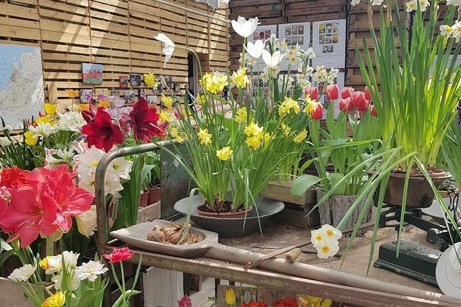 keukenhof-flowerfarm-tour-from-amsterdam-skip-the-line-tickets