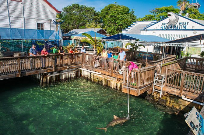 key-west-aquarium-admission
