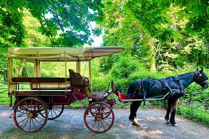 killarney-jaunting-car-tour