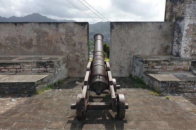 kingstown-botanical-gardens-fort-charlotte-and-beach-w-topdawg-taxi-and-tours