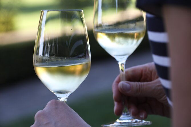 knossos-olive-grove-winery-distillery-with-tastings-lunch