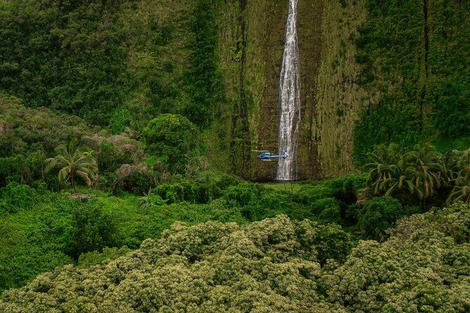 kohala-waterfalls-with-exclusive-landing-helicopter-tour