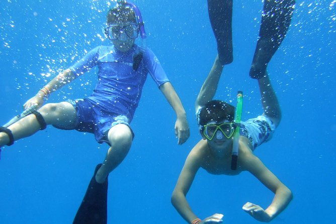 kona-shore-excursion-wild-dolphin-reefs-snorkel-and-sea-caves