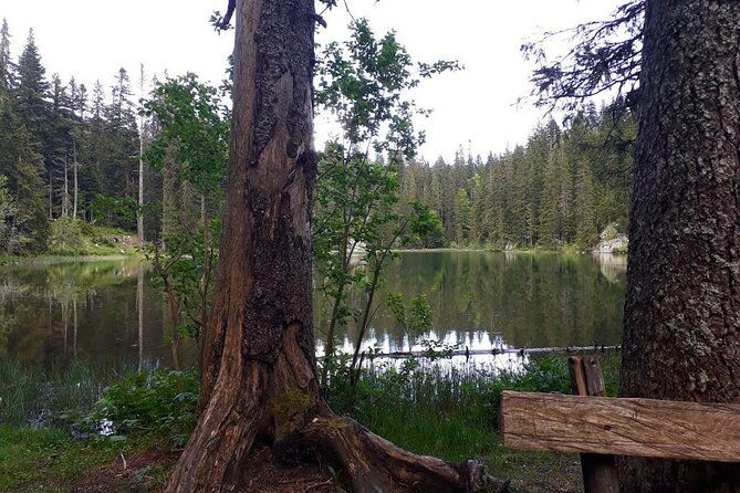 kotor-to-durmitor-black-lake-djurdjevica-tara-bridge-tour