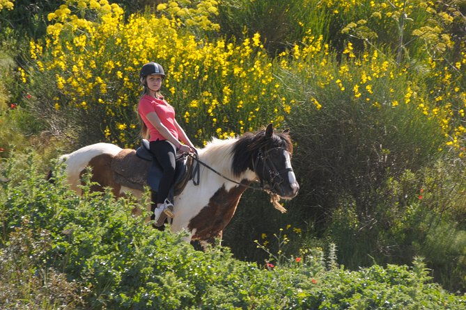 kusadasi-horse-riding-beach-and-forest-with-transfer-2