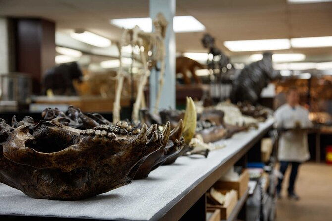 la-brea-tar-pits-and-museum-admission-ticket-with-excavator-tour