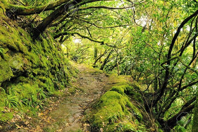la-gomera-day-trip-from-tenerife-2