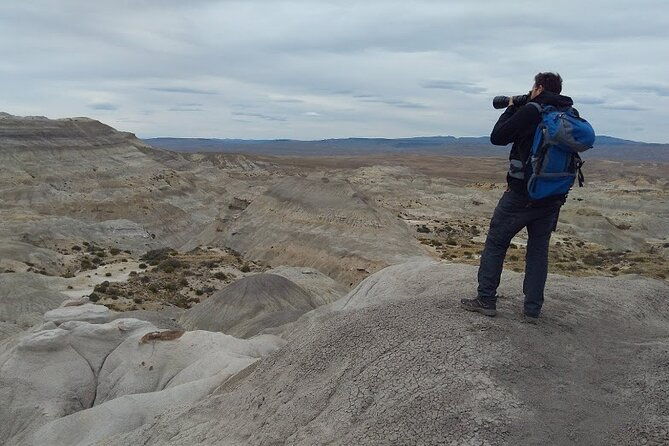 la-lioness-petrified-forest