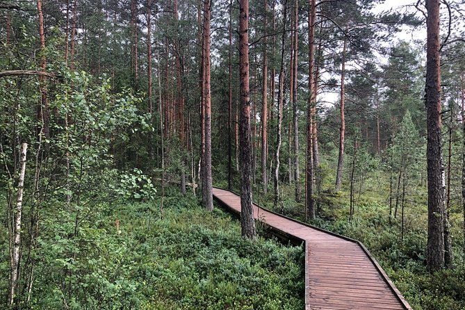 lahemaa-national-park-in-estonia