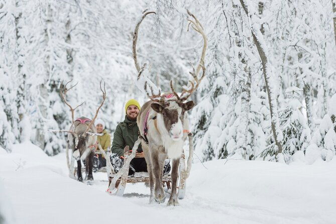 lapland-reindeer-safari-from-levi
