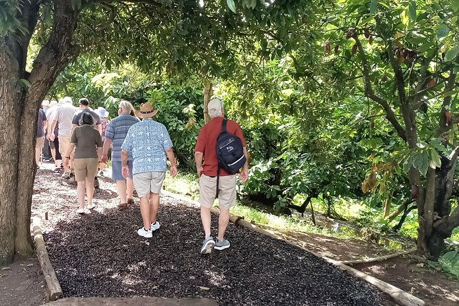 lauras-herb-spice-garden-tour