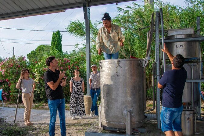lavender-harvesting-and-distillation-workshop-in-bellegarde