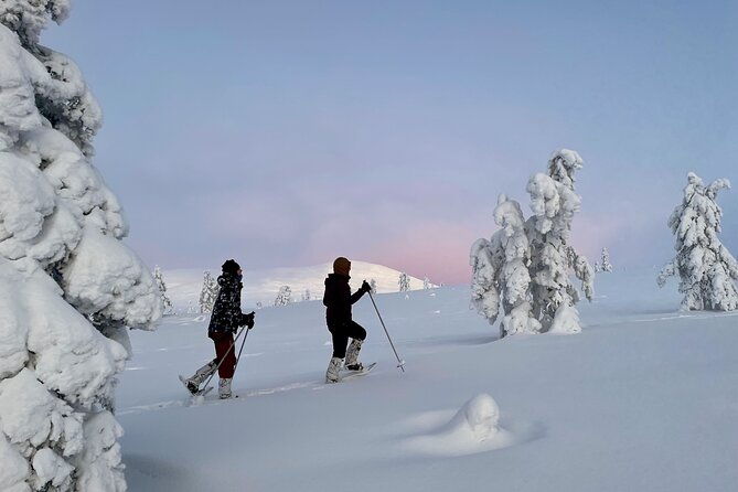 levi-snowshoeing-adventure-in-the-national-park-4
