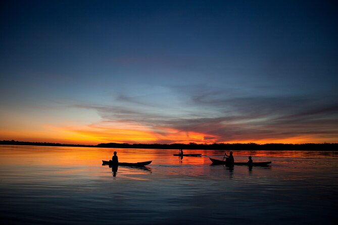 locally-guided-tambopata-amazon-jungle-tour-4-days
