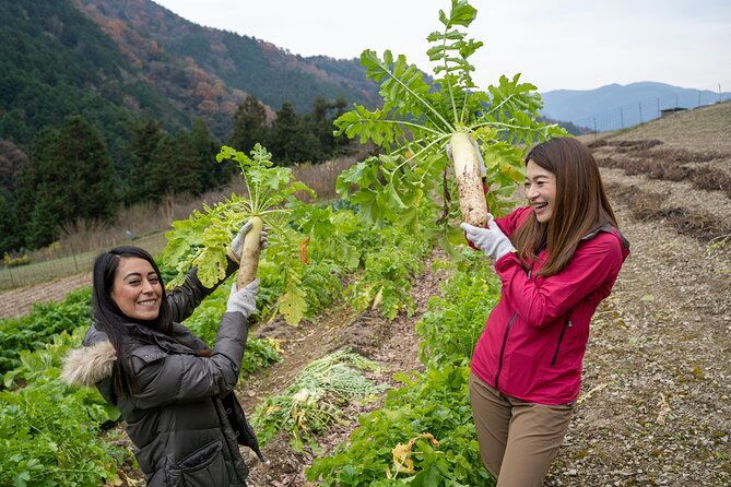 lodging-plans-with-gibier-cuisine-tokushima-shikoku