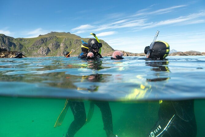 lofoten-grand-canyon-snorkeling-tour