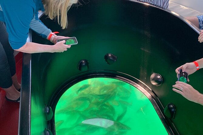 long-beach-glass-bottom-boat-eco-tour
