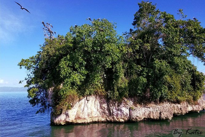 los-haitises-cayo-levantado-lunch-included-from-samana-in-catamaran-or-boat