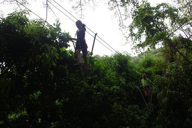loterie-farm-fly-zone-treetop-zip-line-adventure