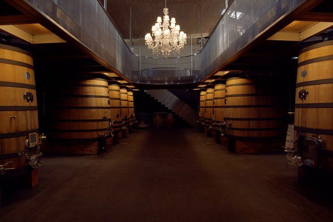 luxurious-full-day-bordeaux-wine-tour-in-a-tesla