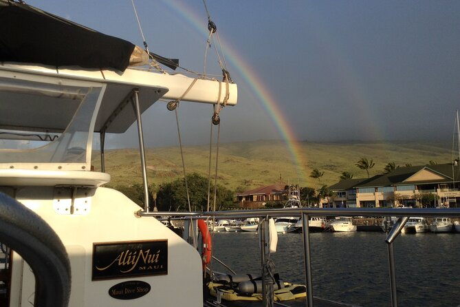 luxury-catamaran-whale-watch