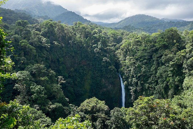 luxury-day-trip-off-the-beaten-path-to-monteverde-rain-forest