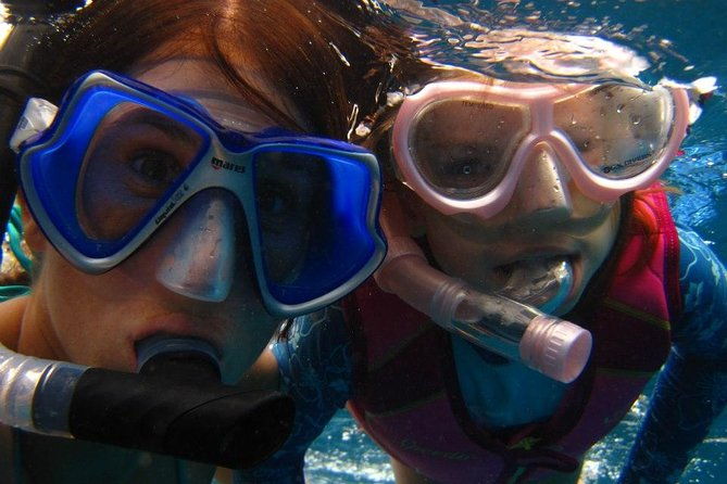 luxury-hawaiian-sea-turtle-dolphin-sail-and-kona-snorkel-2