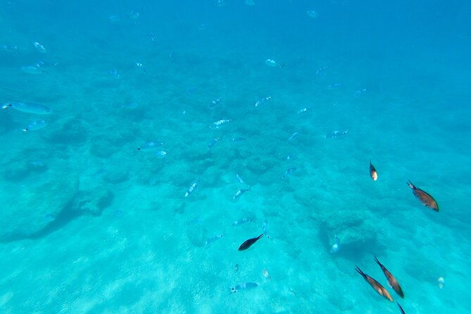 luxury-private-cruise-to-anthony-quinn-bay-ladiko-kallithea