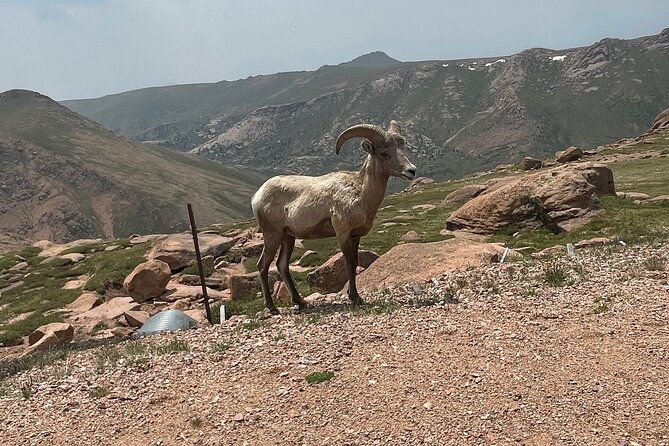 luxury-private-van-to-pikes-peak-garden-of-gods