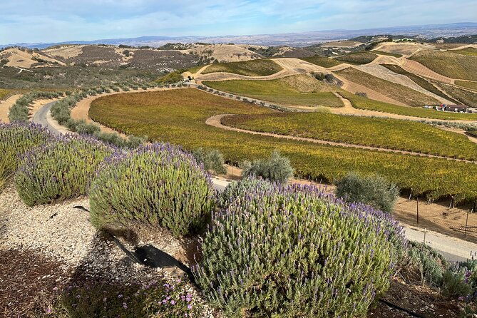 luxury-wine-tour-in-paso-robles-with-a-winemaker