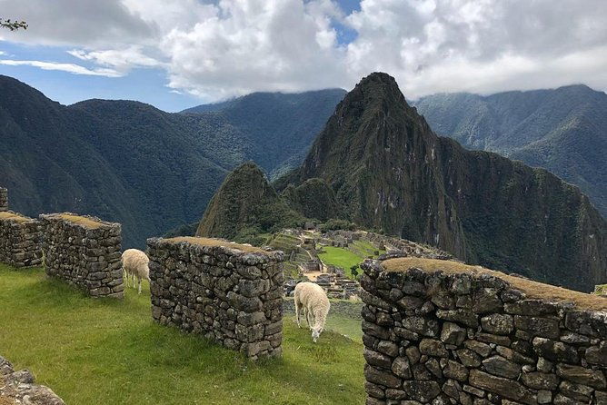 machu-picchu-private-guide-service-from-aguas-calientes