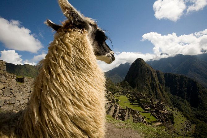 machu-picchu-private-guided-tour-from-aguas-calientes