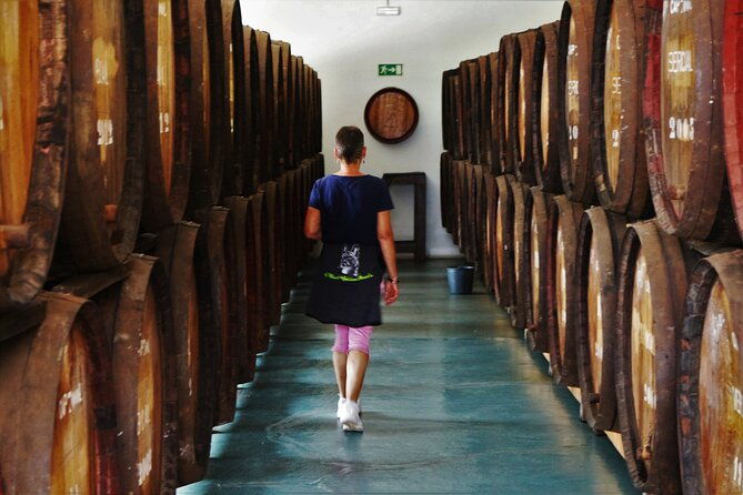 madeira-island-private-wine-full-day-tour-in-all-terrain-vehicle