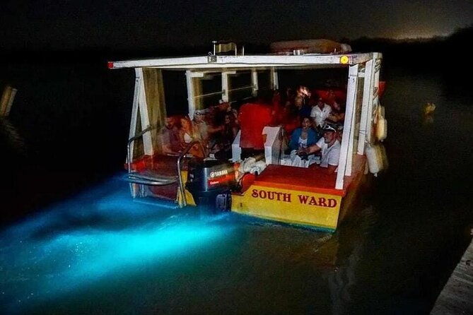 magical-luminous-lagoon-private-tour