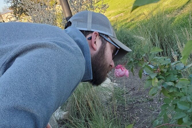 magical-monterey-scavenger-hunt