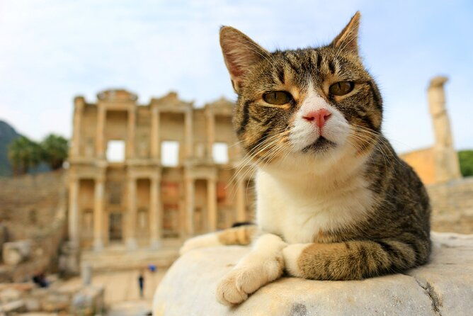 magnificent-ephesus-tour-from-kusadasi-hotels-selcuk-hotels