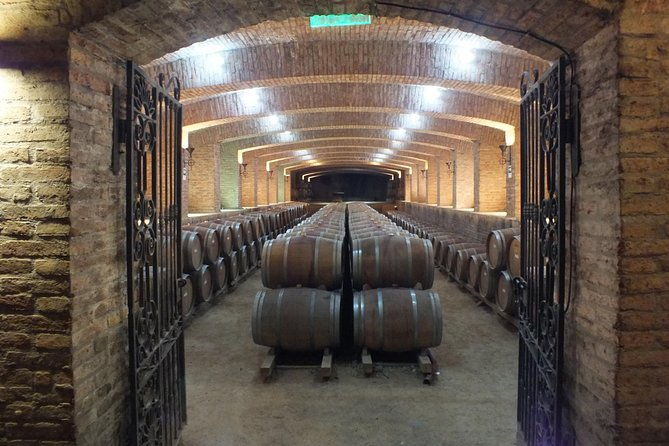 maipo-valley-wine-tour-with-4-vineyards-from-santiago