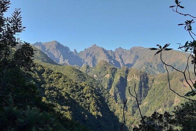 majestic-west-tour-and-fanal-forest-2