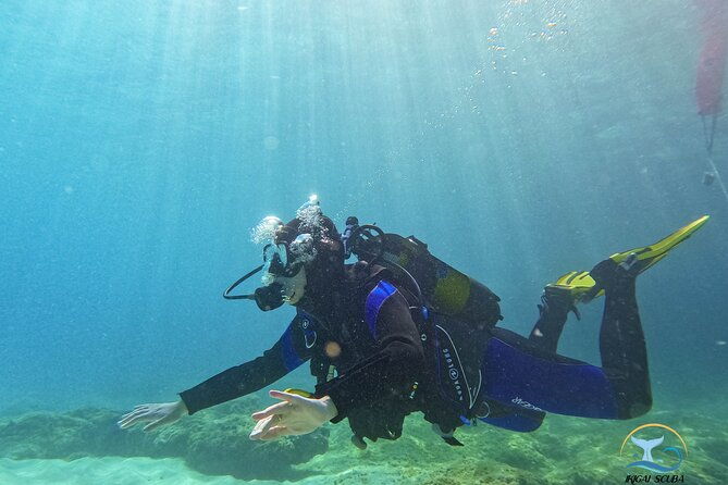 mallorca-private-reservationscuba-dive-photo-video-2