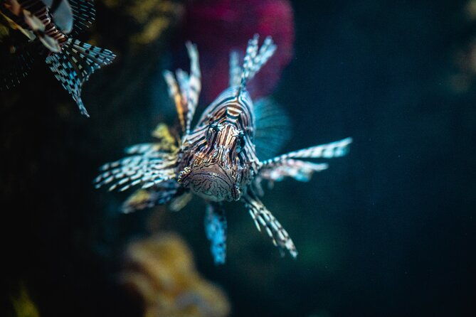 malta-national-aquarium-entrance-ticket