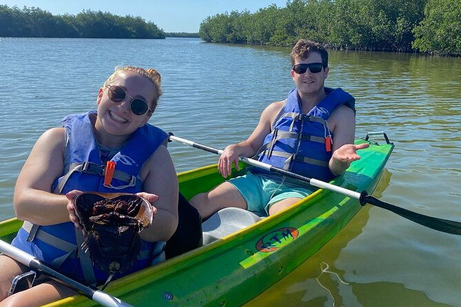 manatee-and-dolphin-kayak-tour-2